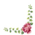 Watercolor floral wreath with leaves of twig herb and peony flowers. Royalty Free Stock Photo