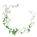 Watercolor floral wreath of meadow flowers, grasses and lavender. Hand painted illustration isolated on white background