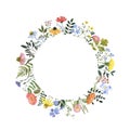 Watercolor floral wreath on white background. Hand painted colorful wildflowers, herbs, leaves Royalty Free Stock Photo