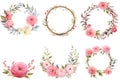 Watercolor floral wreaths with pink roses, green leaves and berries, Hand-painted wreaths and floral frames with watercolor Royalty Free Stock Photo