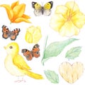 Watercolor yellow floral with bird and butterfly elements drawing