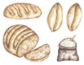 Watercolor flour with sack, wheat grain and bread illustration set. Hand drawn watercolour food clipart collection