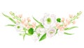 Watercolor flower arrangement. Hand painted floral border composition isolated on white background. Blush, white and