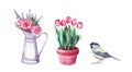 Watercolor flower arrangement in a pitcher, tit bird and tulips in pot. Farm and garden interior decoration Royalty Free Stock Photo