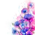 watercolor flower background - morning glories