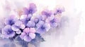 watercolor flower background - purple begonias