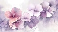 watercolor flower background - purple begonias