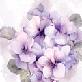 watercolor flower background - purple begonias