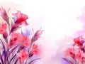 watercolor flower background - red and pink gladioli