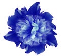 Watercolor flower blue peony.  on a white isolated background with clipping path. Nature. Closeup no shadows. Royalty Free Stock Photo