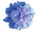 Watercolor flower blue peony. on a white isolated background with clipping path. Nature. Closeup no shadows. Garden Royalty Free Stock Photo