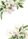 Watercolor flower border of line art jasmine and gold leaves. Hand painted branch of fresh plants isolated on white Royalty Free Stock Photo