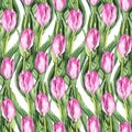 Watercolor flower floral pink tulip seamless pattern background vector