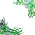 Watercolor flower frame backgrounds. Beautiful greeting card with green leaves on white background. illustration