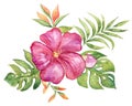 Watercolor of flower hibiscus bouquet, summer and nature concept Royalty Free Stock Photo