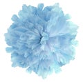 Watercolor flower light blue peony.on  a white isolated background with clipping path. Nature. Closeup no shadows. Royalty Free Stock Photo