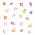 Watercolor flower petals. Royalty Free Stock Photo