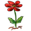 Watercolor flower red cartoon figure, isolated on