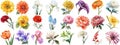 Watercolor flower set isolated background. Various floral collection crisp edges Royalty Free Stock Photo