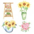 Watercolor flower shop set, sunflowers bouquets in watercing can, pink peony summer bouquets illustration, delicate floral