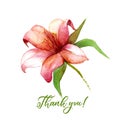 Watercolor Flower Thank You Card Royalty Free Stock Photo