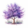 Watercolor Flower Tree: Purple Lilac Hand Drawn Painting Stock Photo