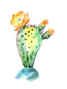 Watercolor flowering cactus