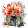 Watercolor Flowering Cactus on White Background for Invitations and Posters.