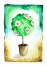 Watercolor flowering tree in a flower pot.