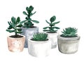 Watercolor flowerpots Royalty Free Stock Photo