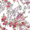 Watercolor Flowers Apple Cherry and Peach. Handiwork Seamless Pattern on a White Background.