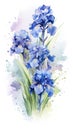 watercolor flowers background blue irises