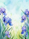 watercolor flowers background blue irises