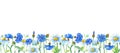 Watercolor flowers. Beautiful bright banner with Camomile,blue cornflower and green leaves.