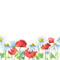 Watercolor flowers. beautiful bright banner with Camomile, red poppies and green leaves. Image on a white background. Royalty Free Stock Photo