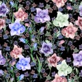 Watercolor meadow flowers on black background. Floral seamless pattern for design