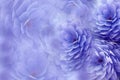 Watercolor flowers on blurry violet background . Blue-violet flowers chrysanthemum. floral collage. Flower composition Royalty Free Stock Photo