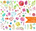 Watercolor flowers collection for different design Royalty Free Stock Photo