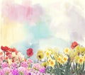 Watercolor flowers. Digital illustration Royalty Free Stock Photo