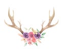 Watercolor Flowers Florals Antlers Deer Stag Horns Bone Painted Royalty Free Stock Photo