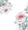 Watercolor Flowers Frame. White and Pink Roses Bouquet Royalty Free Stock Photo