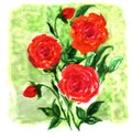 Watercolor flowers impression painting