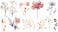 watercolor flowers painting illustration set on a white background generative ai