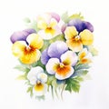 Elegant Pansies Watercolor Painting With Yellow And White Flowers Royalty Free Stock Photo