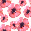 Watercolor Flowers pattern  Poppy Royalty Free Stock Photo