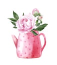 Watercolor flowers in pot. Peony in kettle