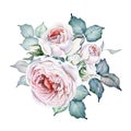Watercolor Flowers. Roses Bouquet. White and Pink Roses. Royalty Free Stock Photo