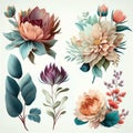 Watercolor flowers set. Collection of decorative elements bright colorful flowers, leaves, grass, hand drawn with watercolors.