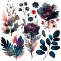 Watercolor flowers set. Collection of decorative elements bright colorful flowers, leaves, grass, hand drawn with watercolors.
