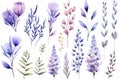 Watercolor flowers set. Hand painted floral elements. Isolated on white background. Generative AI Royalty Free Stock Photo